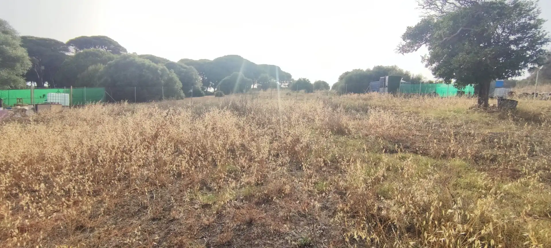 Terreno rustico in vendita a San Roque Pueblo, imagen 6