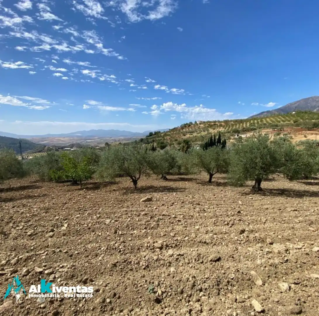 Terreno residencial en venta en Casarabonela, imagen 6