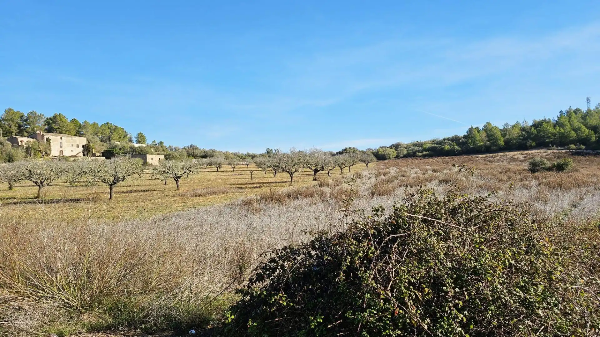 Rural land for sale in Sant Joan, imagen 7