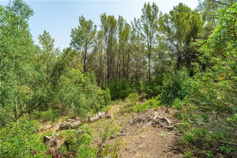 Villa avec piscine à vendre à Esporles, imagen 23