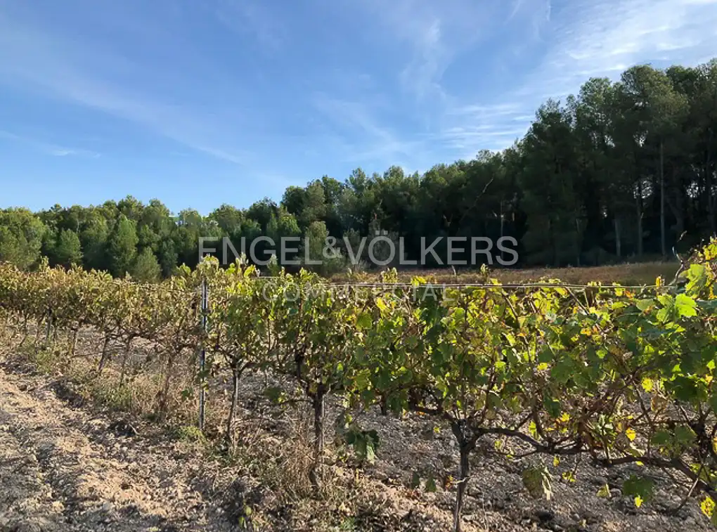 Fabrik Grundstücke zum Verkauf in Avinyonet del Penedès