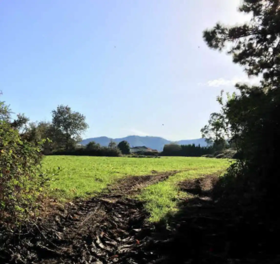 Rustikales Grundstück zum Verkauf in LG OVIÑANA, imagen 3