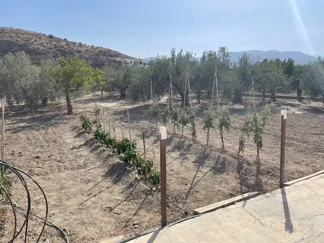 Land for sale in Pechina