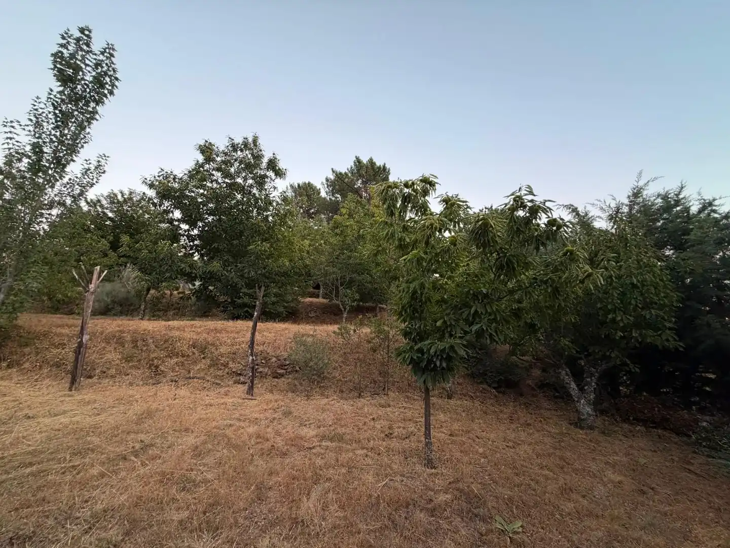 Finca rústica en venta en El Arenal  con Amueblado