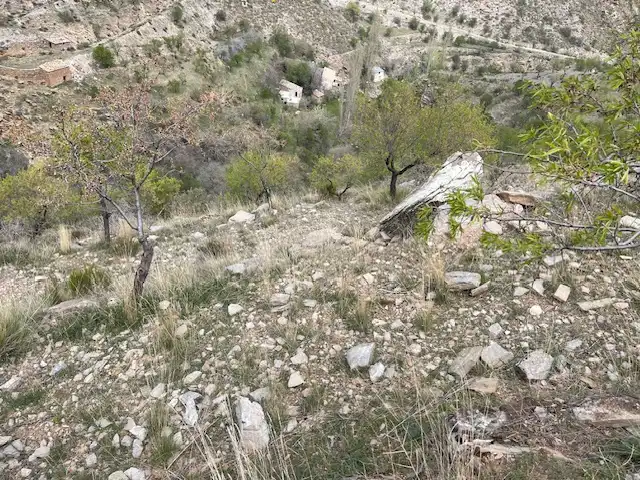 Rural land for sale in Alcudia de Monteagud, imagen 6
