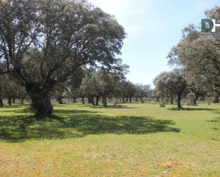 Residencial en venda a San Vicente - Las Úrsulas