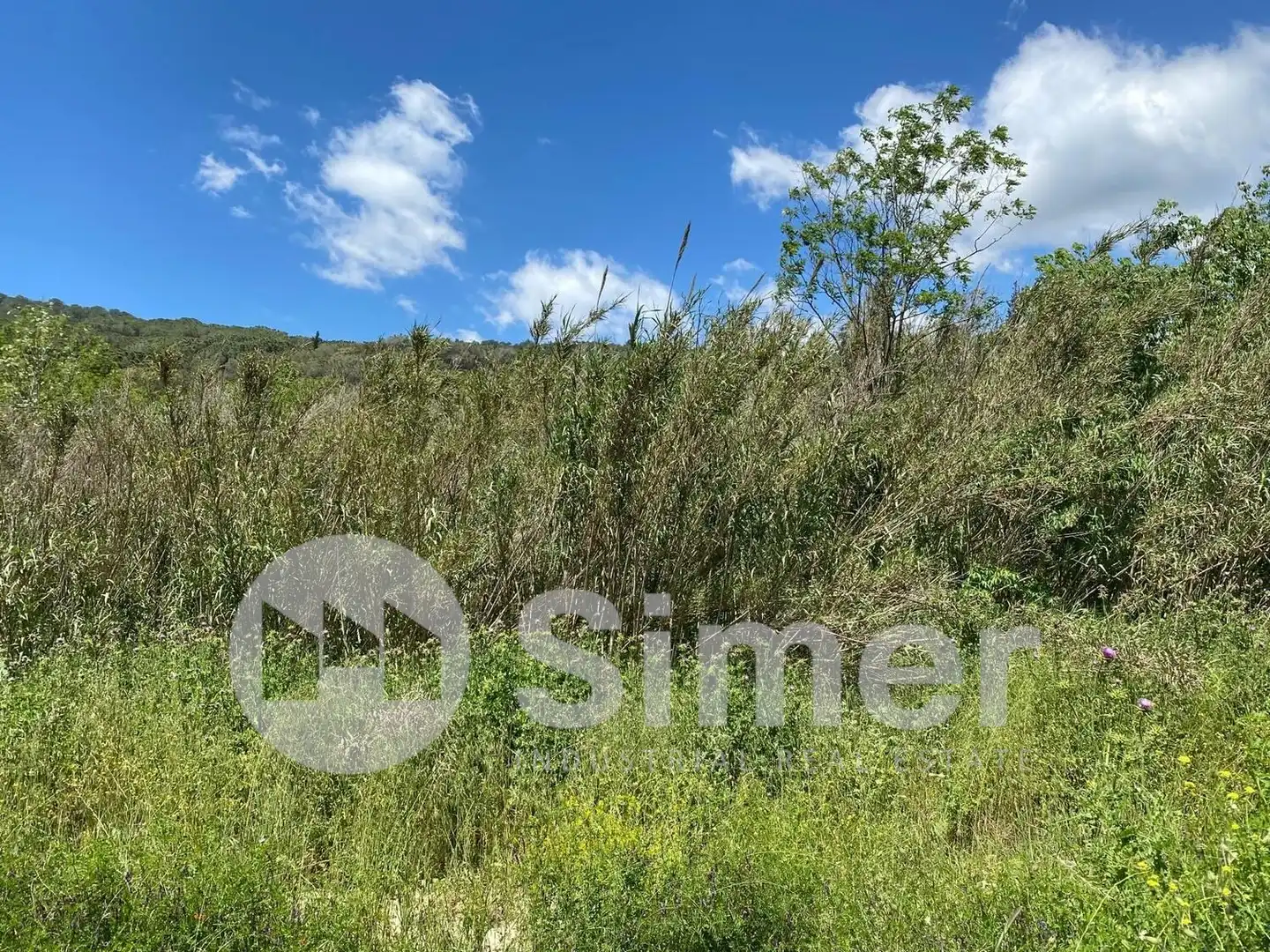 Terreno industrial en venta en Dosrius