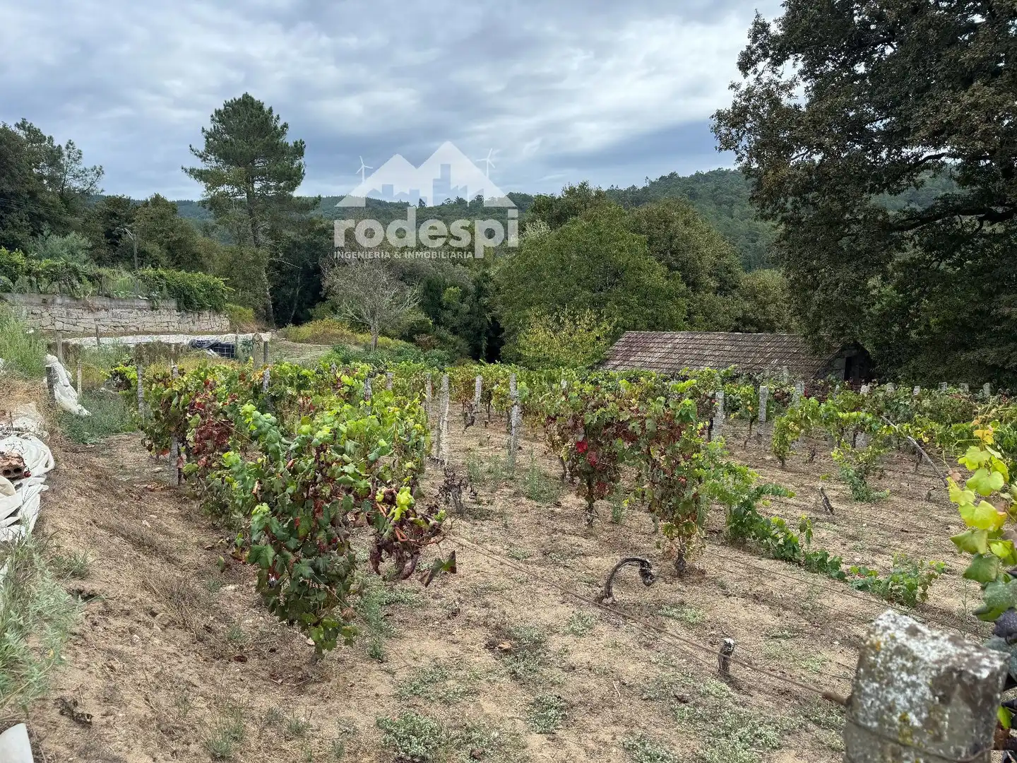Others for sale in Cortegada, imagen 12