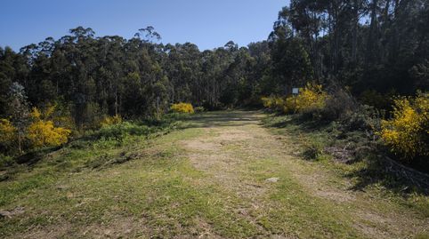 Parcela Rustica en Cea, imagen 3