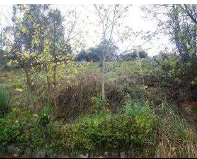 Terreno residencial en Venta en Allande