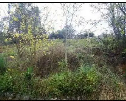 Lands and plots for sale in Allande