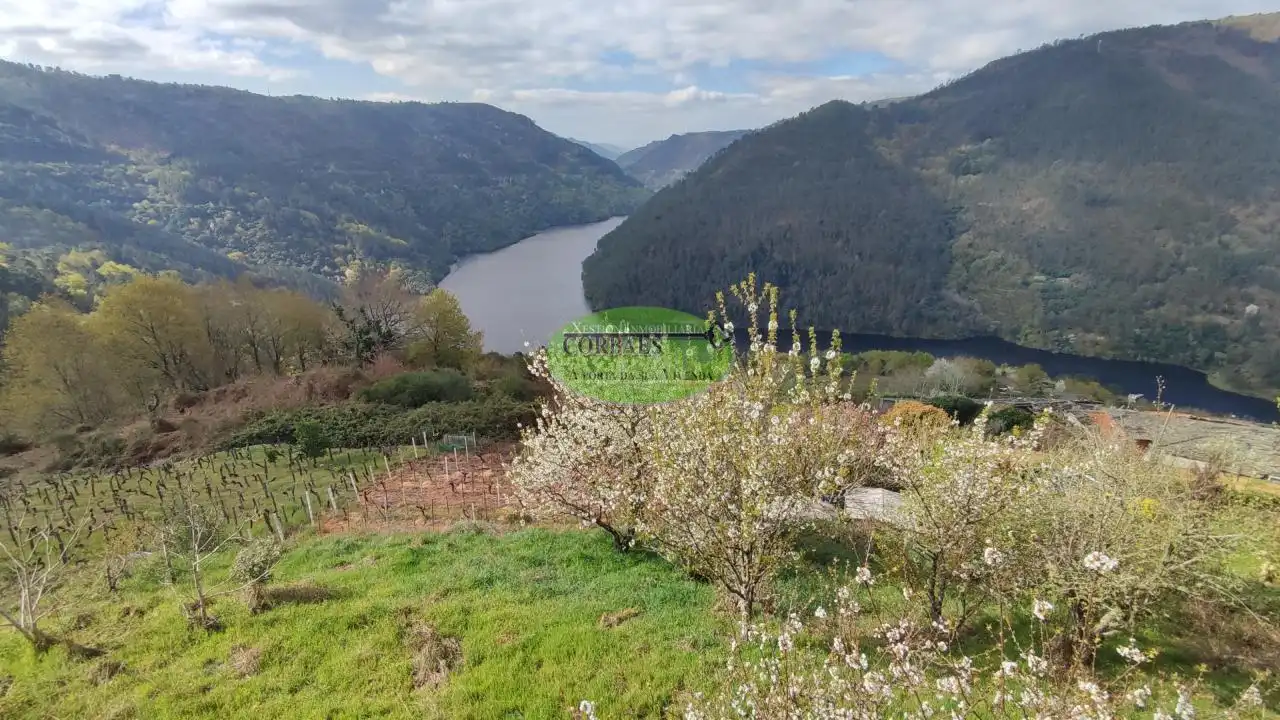Casa amb jardí en venda a Pantón, imagen 19