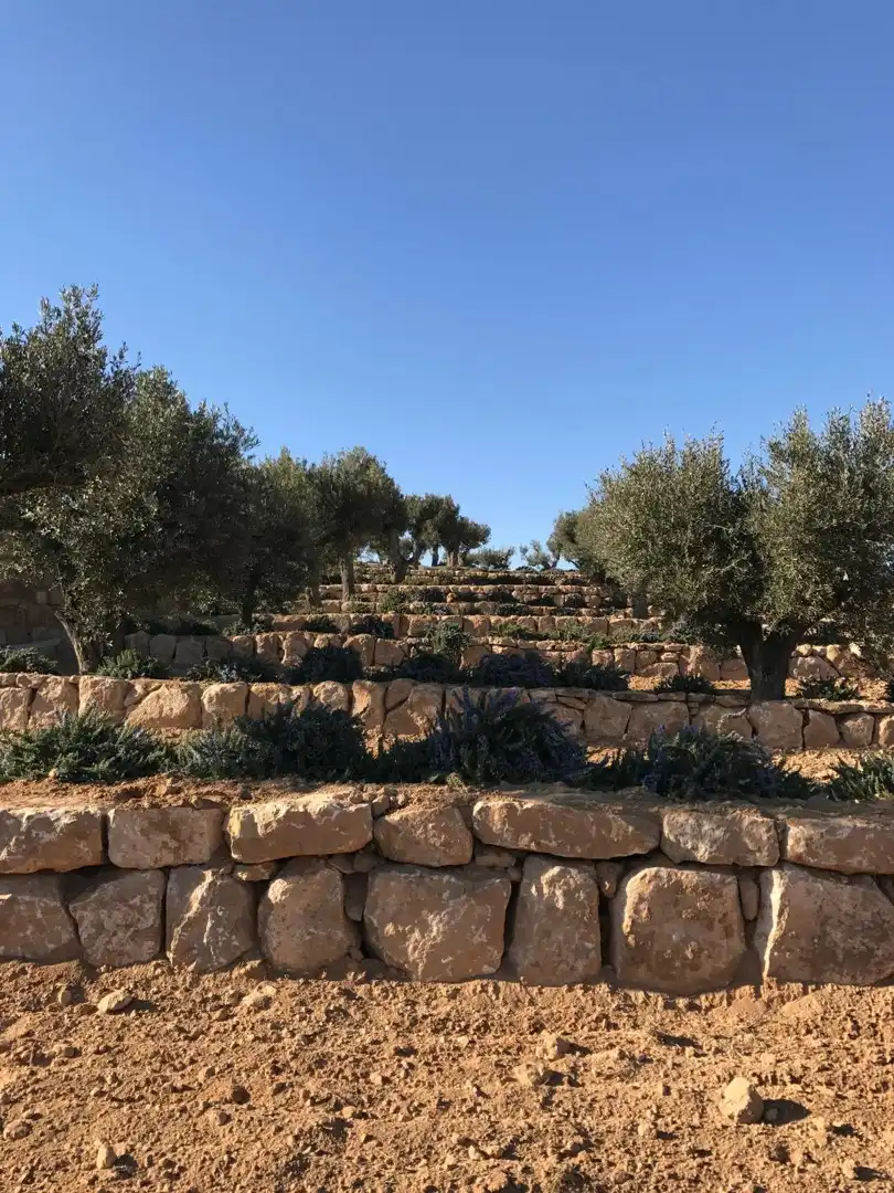 Jardín de Casa o chalet en venta en Alcañiz con Terraza