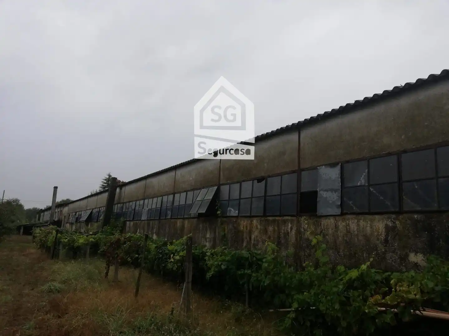 Nave industrielle à vendre à Amoeiro, imagen 3