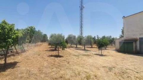 Foto 5 de Finca rústica en venta en Zona Entrada - Gasolineras, Ocaña