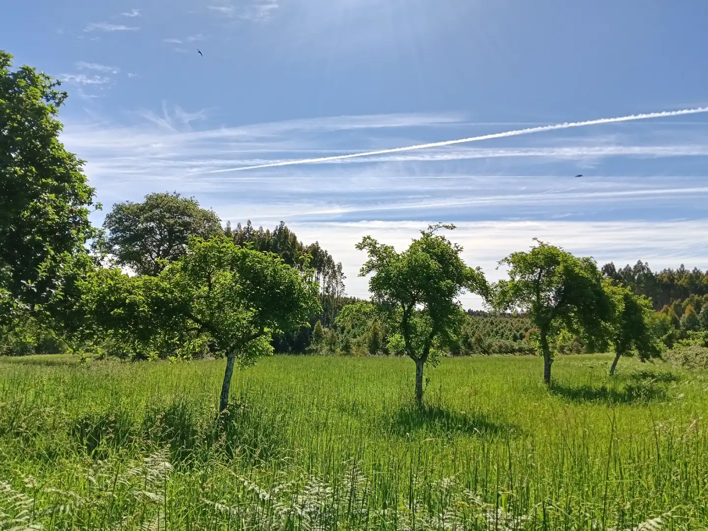 Haus oder Chalet zum Verkauf in Curtis mit Privatgarten