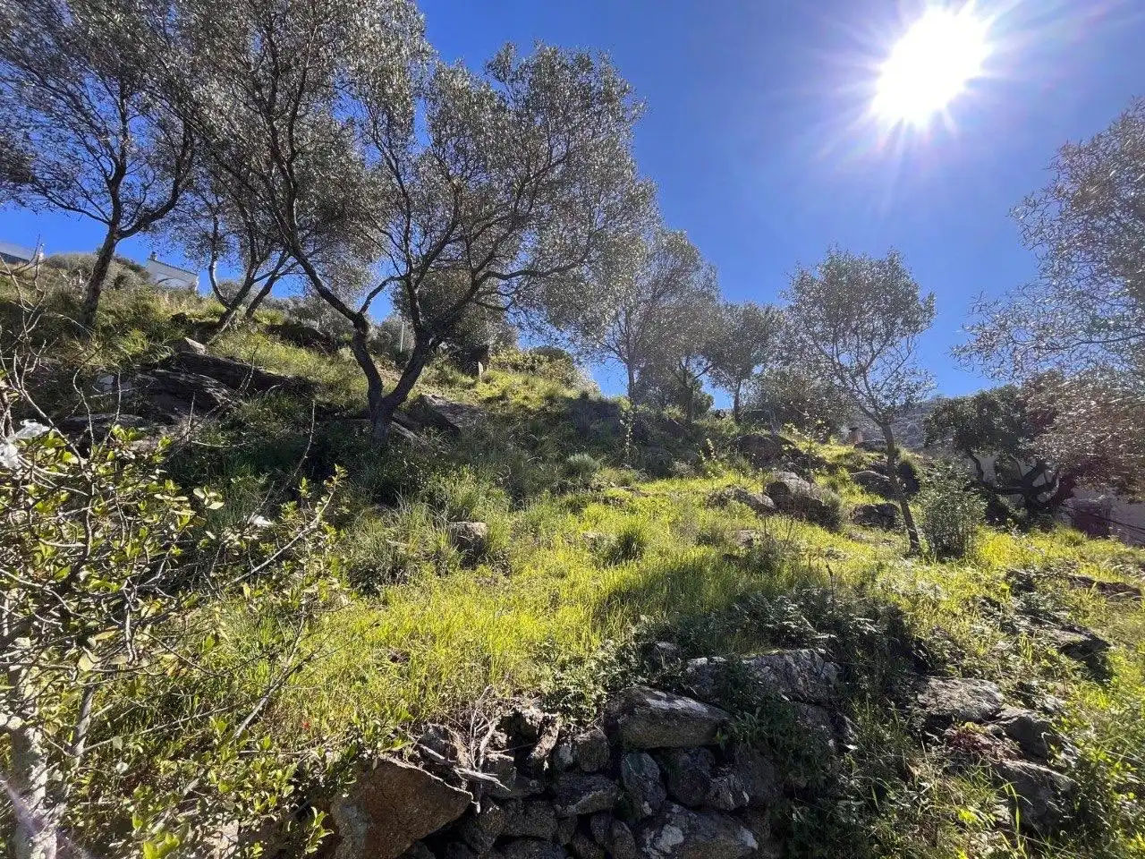 Terrenys i solars en venda a Pasaje de Marià Aguiló 19, imagen 4