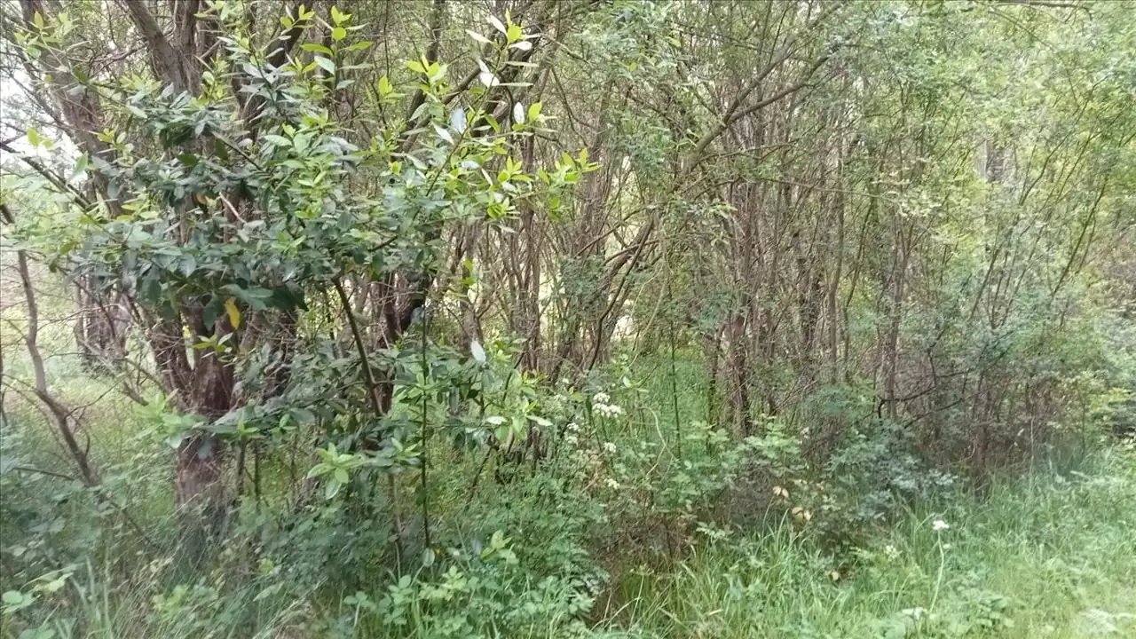 Grundstücke und Bauplätze zum Verkauf in Camposa-Beco, imagen 9