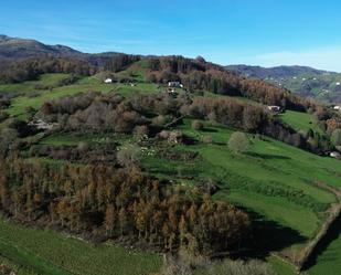 Finca rústica en venda en Larraul amb Jardí privat