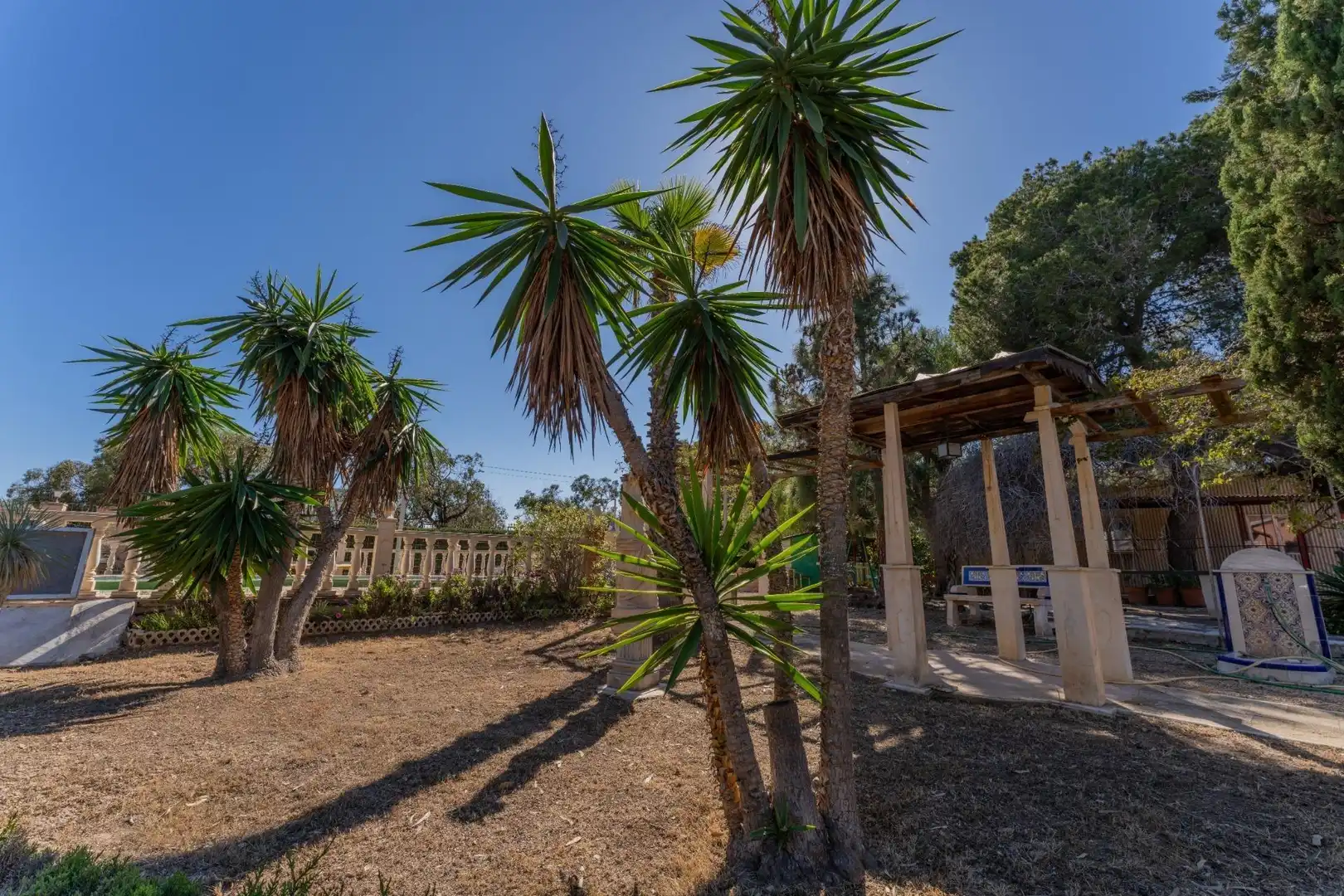 Vista exterior de Casa o chalet en venta en Elche / Elx con Jardín privado, Terraza y Piscina
