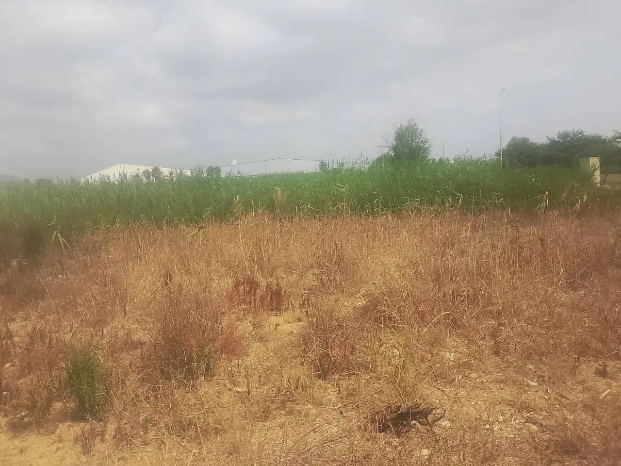Industrial land for sale in Calle Estacio, imagen 4