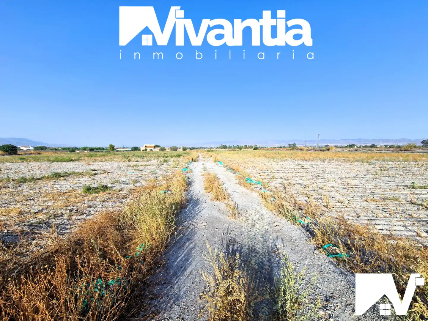 Terreni e lotti in vendita a Diseminado Torrecilla 477, imagen 11