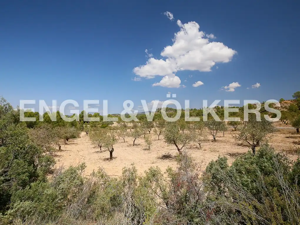 Finca rústica en venda a Requena