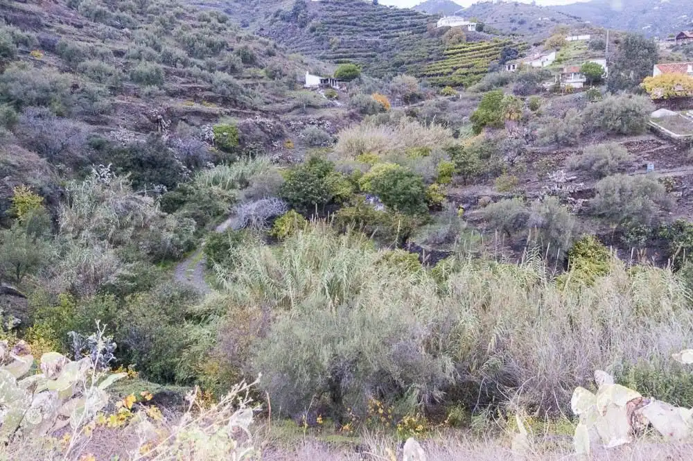 Casa con jardín en venta en Torrox Pueblo, imagen 8