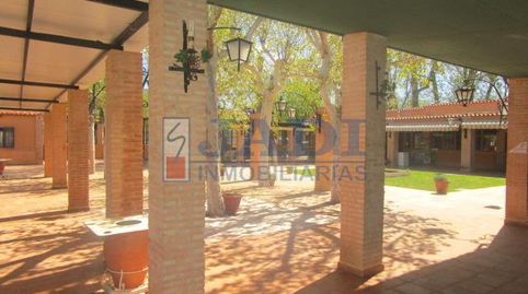 ValdepeñasLocal, imatge 4