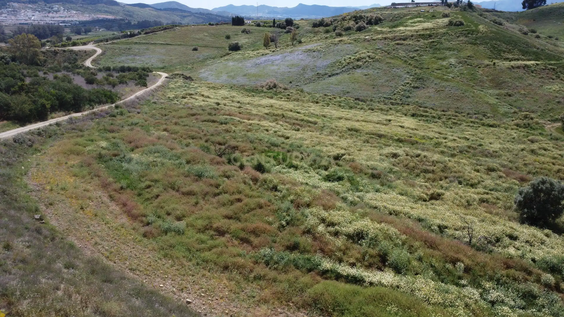 Terreni e lotti in vendita a Carretera Pista Confederación, Pizarra, Spain, imagen 19