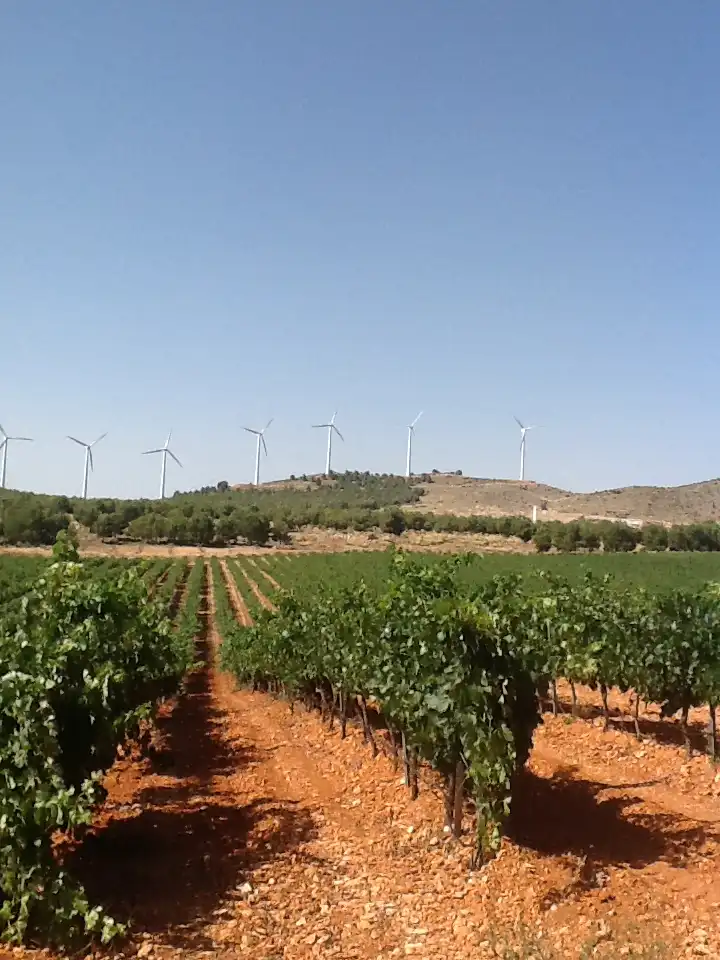 Terreno rustico in vendita a Pozohondo, imagen 2