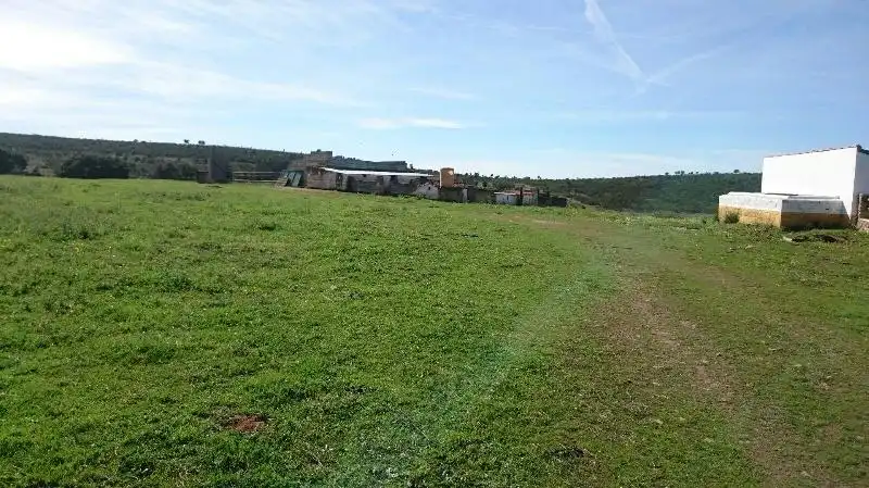 Land for sale in Salorino