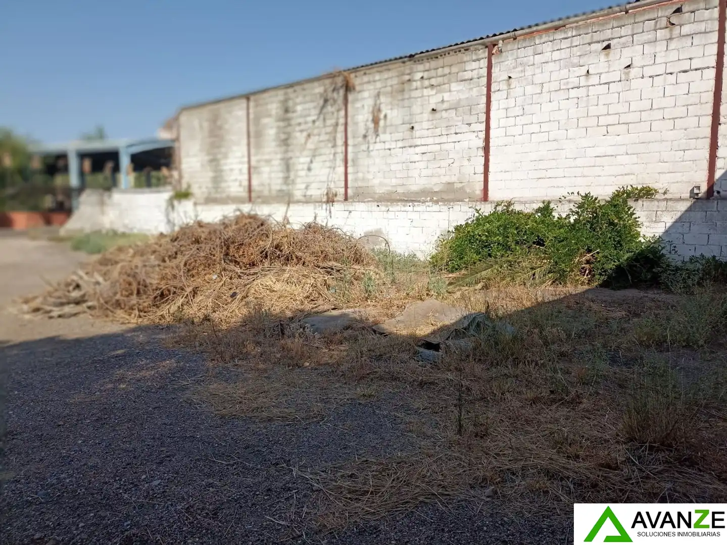 Nave industrielle à vendre à Oeste, imagen 6