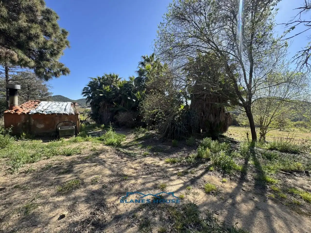Terreno rustico in vendita a Calle Bosch Rabasa 1, imagen 4