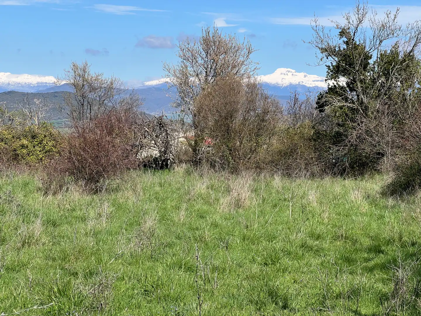 Terreni e lotti in vendita a A-132, imagen 4