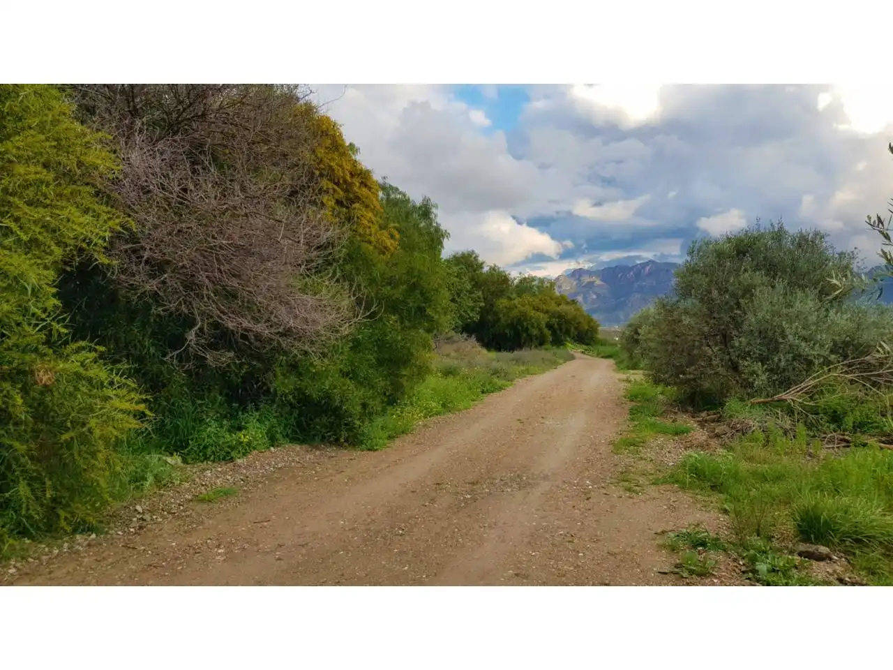 Chalet con jardín en venta en Pasaje Los Martos 1, imagen 5