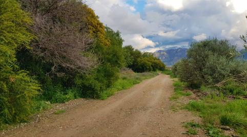 Photo 5 of House or chalet for sale in Pasaje Los Martos, 1, Los Gallardos, Almería