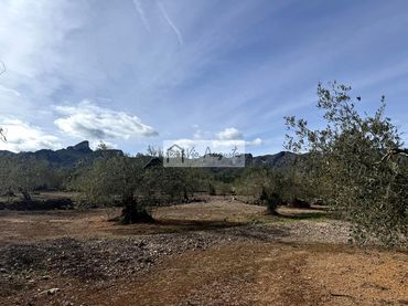 Terreno rústico en venta en Burgà