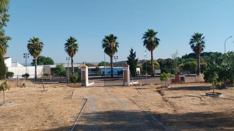 Photo 4 of Country house for sale in Atalaya, Badajoz