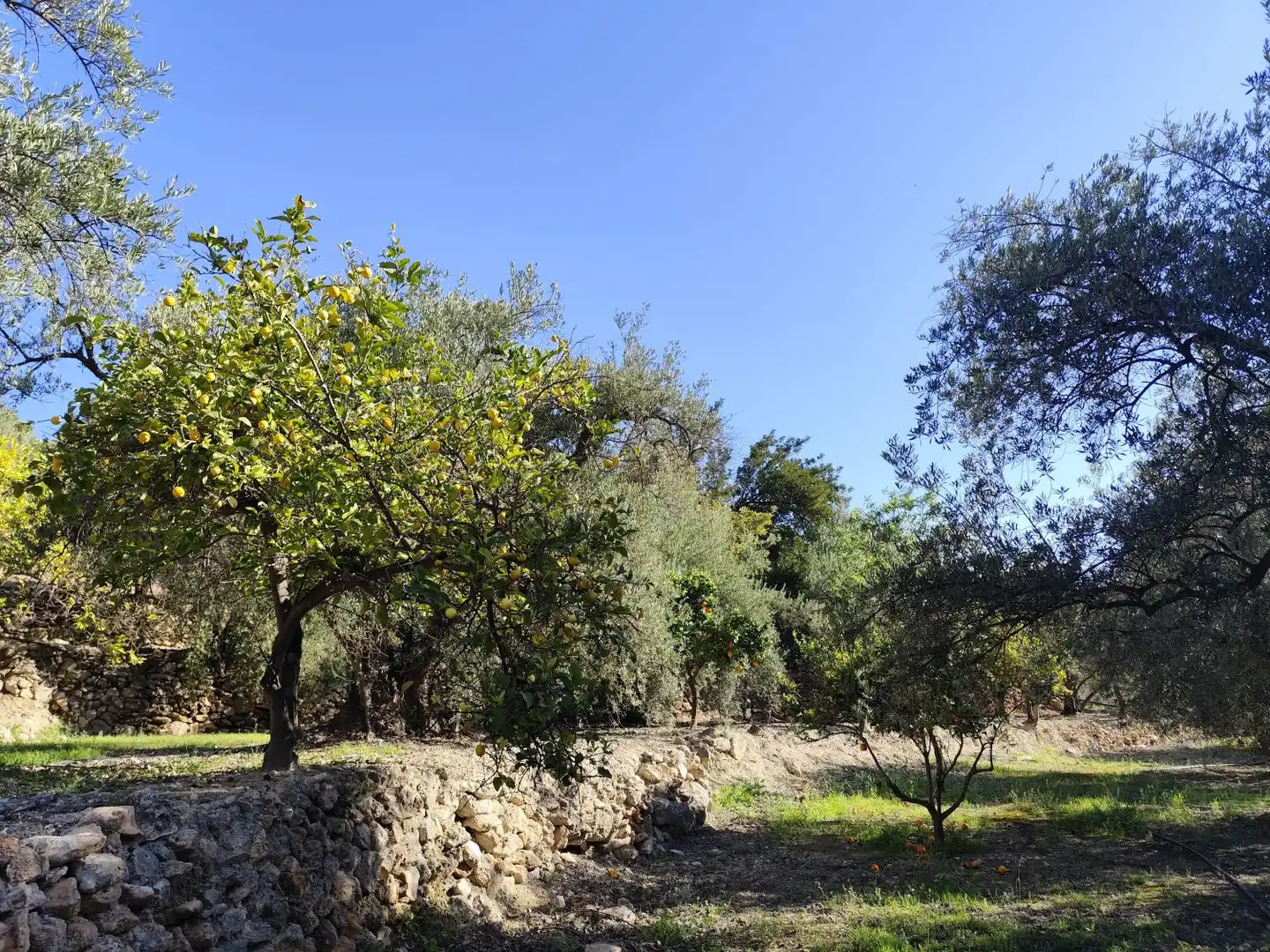 Maison rustique à vendre à de Izbor s/n, imagen 17