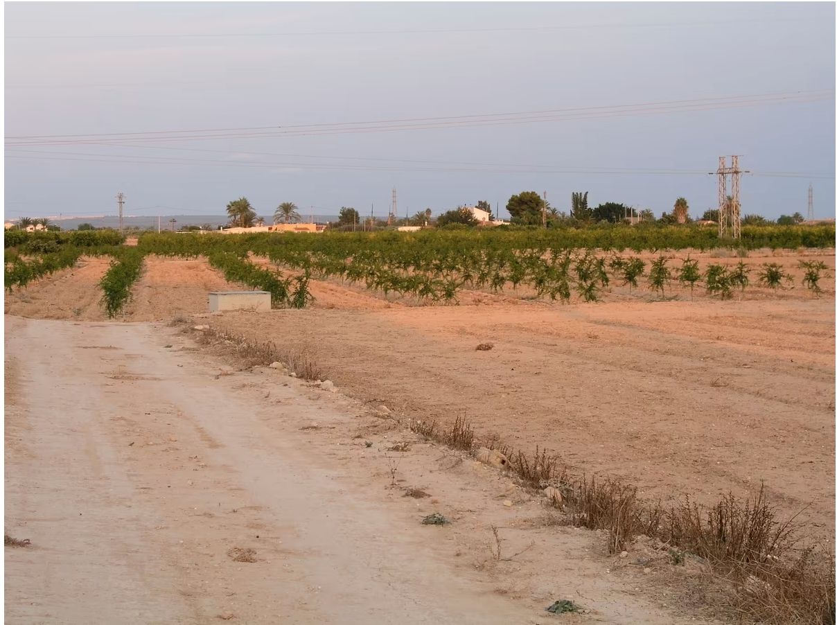 Residencial en venda en Elche / Elx