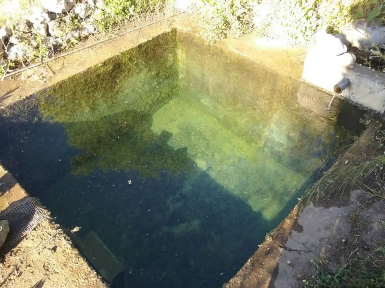 Piscina de Finca rústica en venta en Algatocín