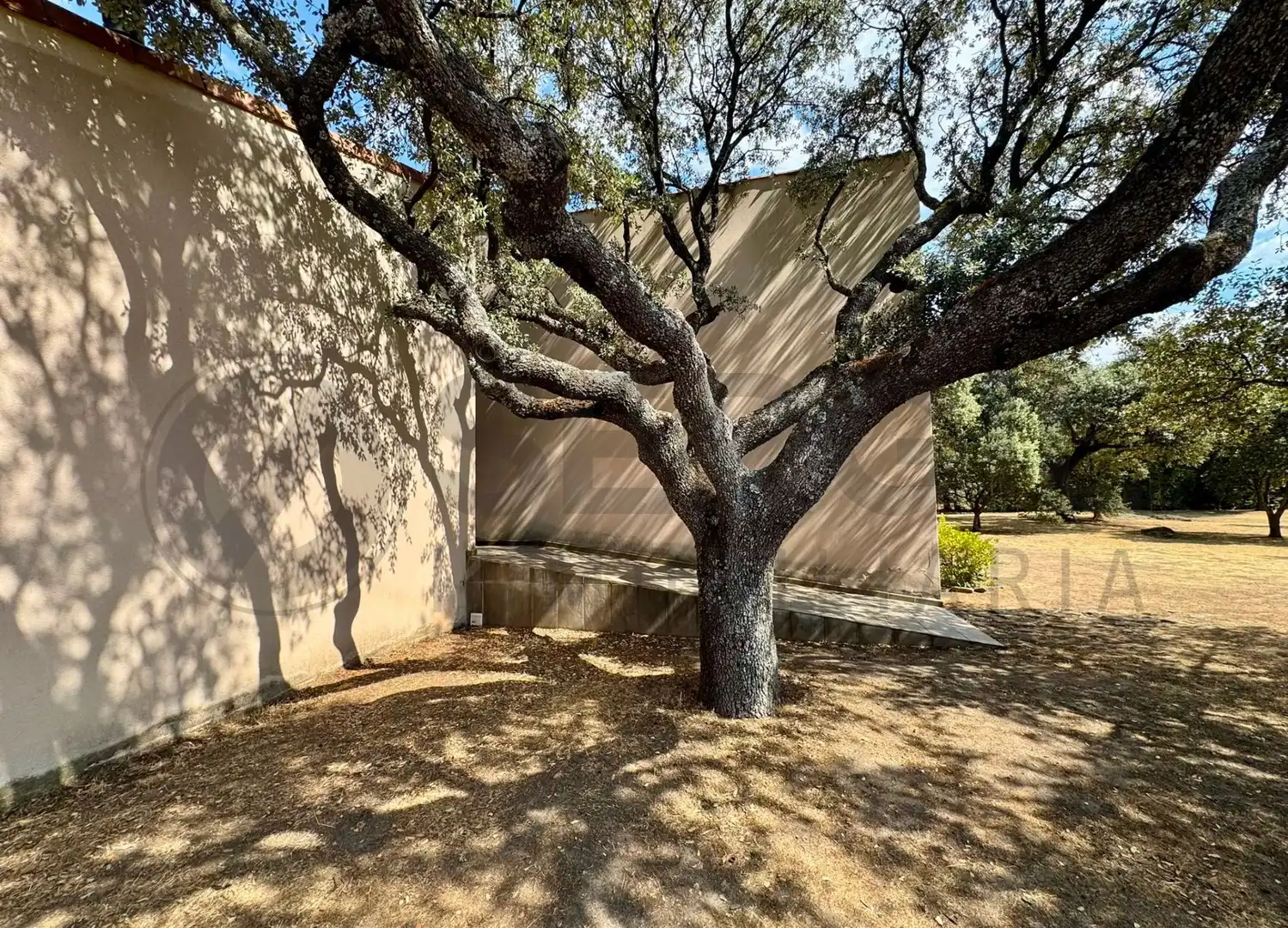 Vista exterior de Casa o xalet en venda en Navas de Riofrío amb Calefacció, Jardí privat i Traster