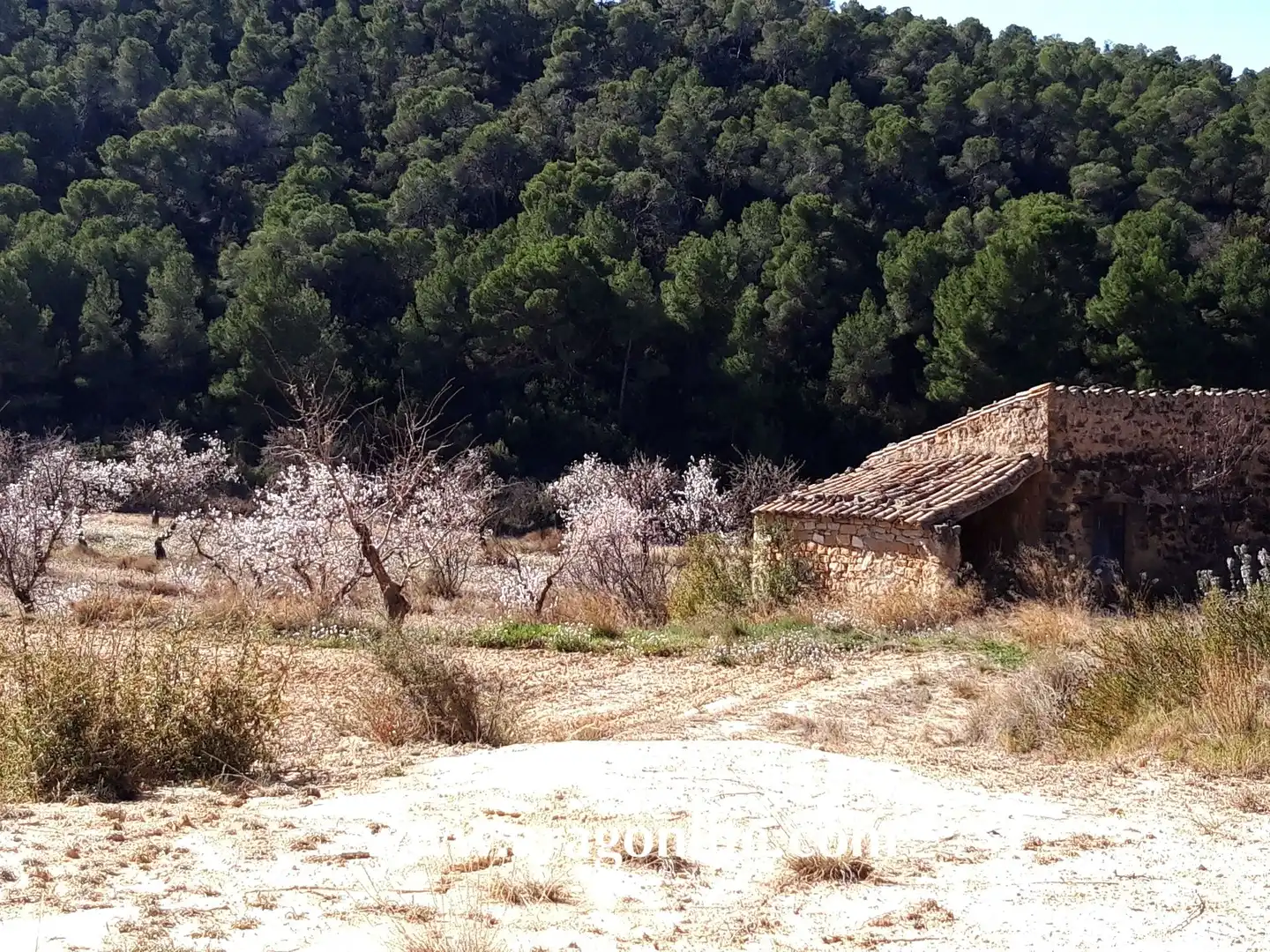 Terreni e lotti in vendita a Maella, imagen 46