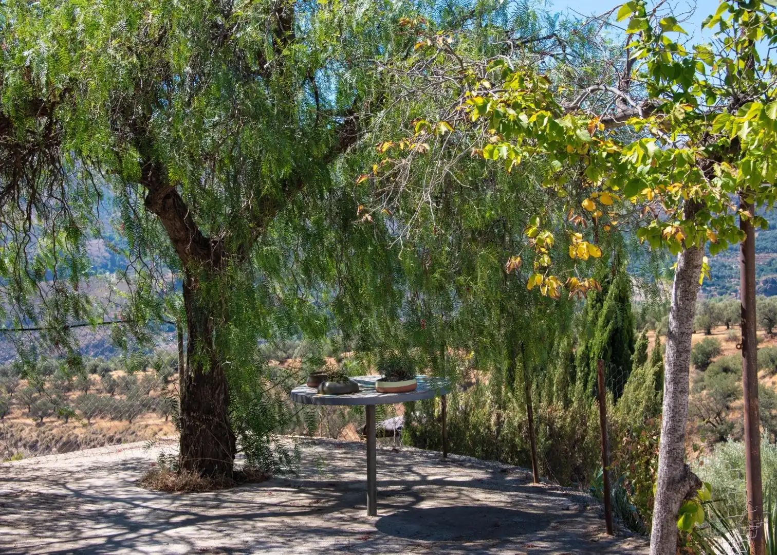 Casa rústica amb piscina en venda a El Pinar, imagen 19