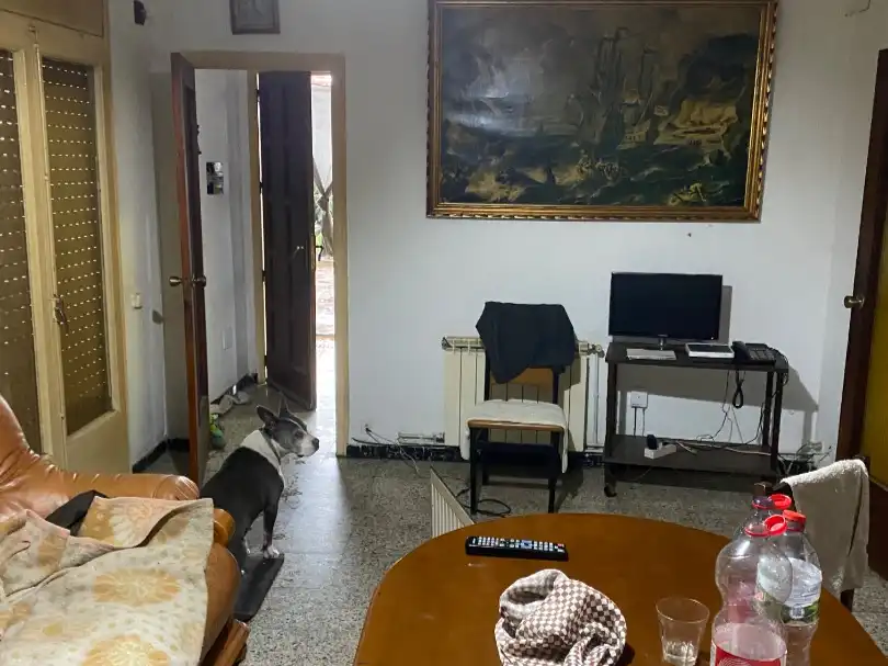 House with garden for sale in Calle Arenys de Mar 27, imagen 22
