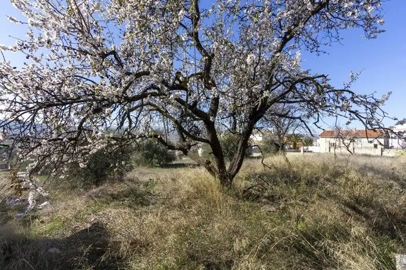 Terreni e lotti in vendita a Padul, imagen 7