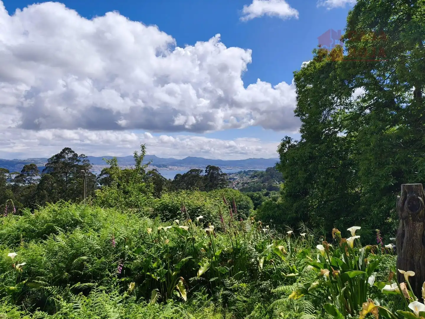 Vista exterior de Casa o xalet en venda en Moaña