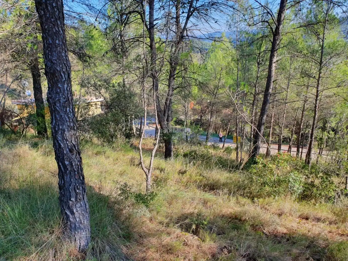 Terreno residenziale in vendita a Urbanitzacio Serrat Farre 24, imagen 6