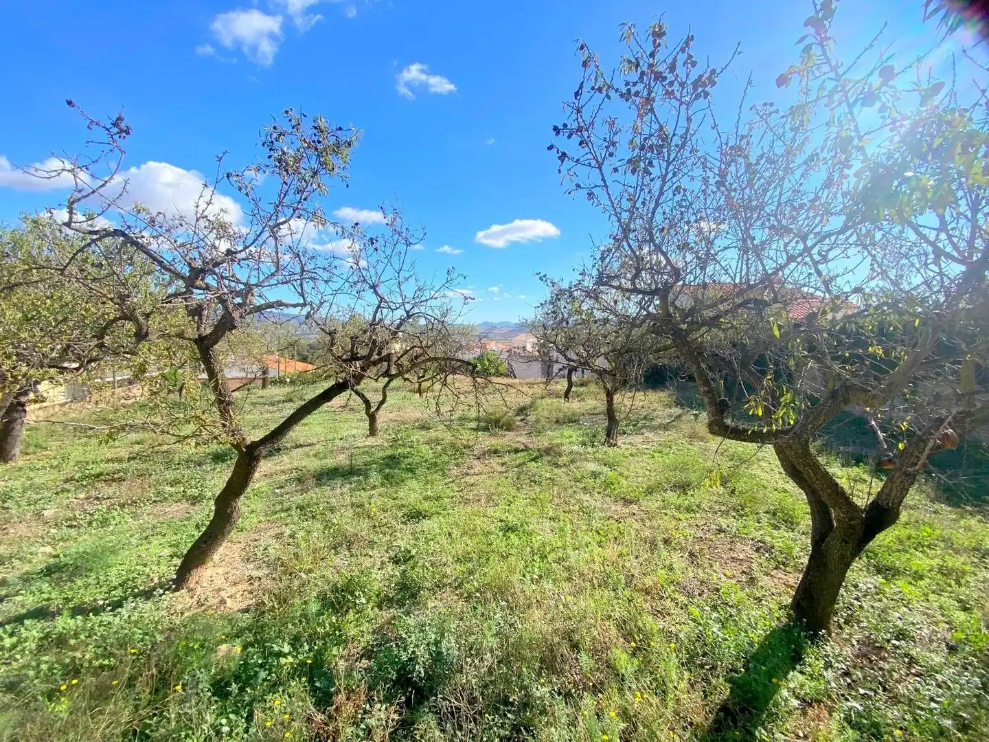 Casa con jardín en venta en La Font de la Figuera, imagen 33